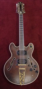 David Crosby's 12-string